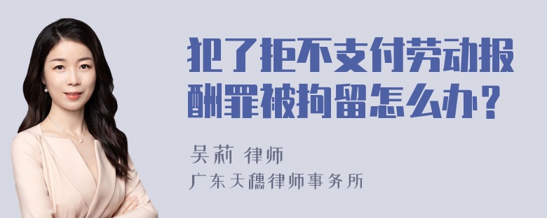 犯了拒不支付劳动报酬罪被拘留怎么办？