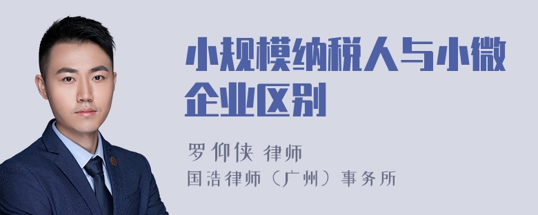 小规模纳税人与小微企业区别