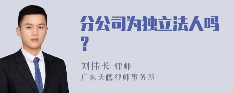 分公司为独立法人吗？