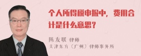 个人所得税申报中，费用合计是什么意思？