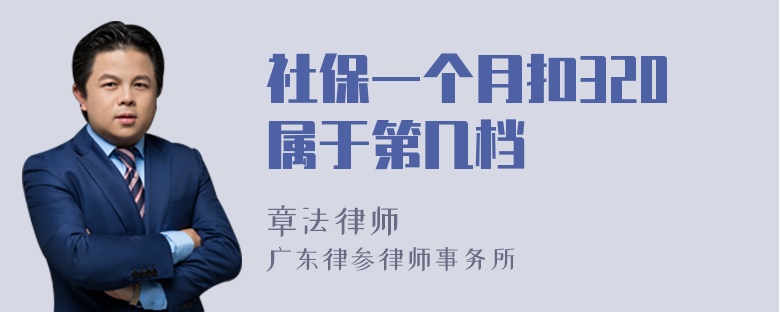 社保一个月扣320属于第几档