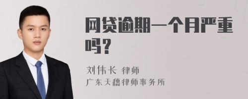 网贷逾期一个月严重吗？