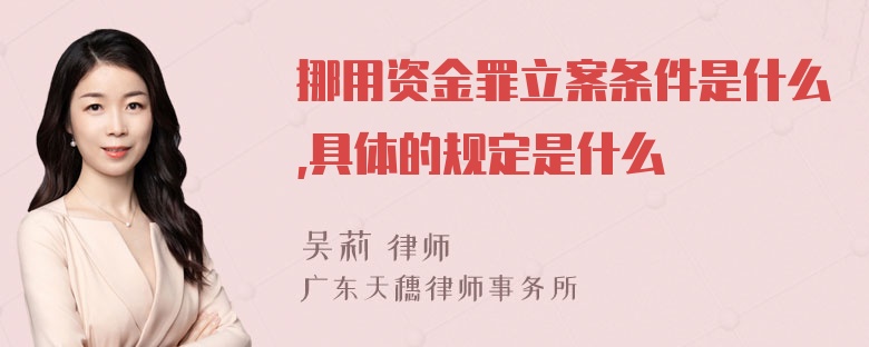 挪用资金罪立案条件是什么,具体的规定是什么