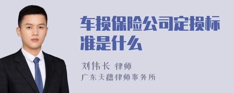 车损保险公司定损标准是什么