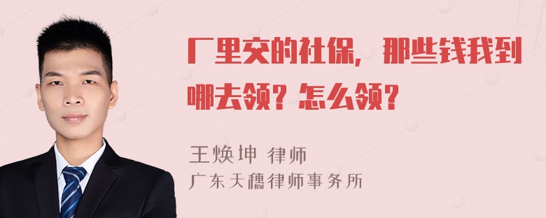 厂里交的社保，那些钱我到哪去领？怎么领？