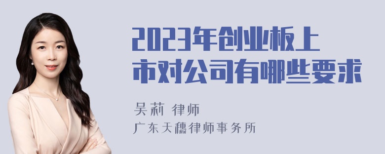 2023年创业板上市对公司有哪些要求