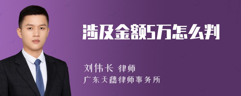 涉及金额5万怎么判