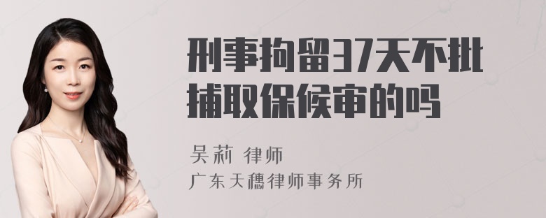 刑事拘留37天不批捕取保候审的吗