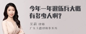 今年一年退伍兵大概有多少人啊？