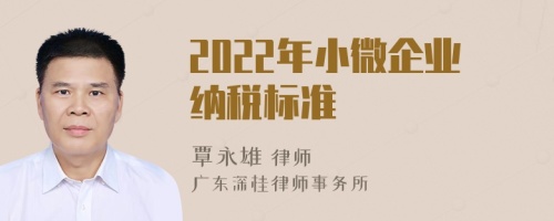 2022年小微企业纳税标准
