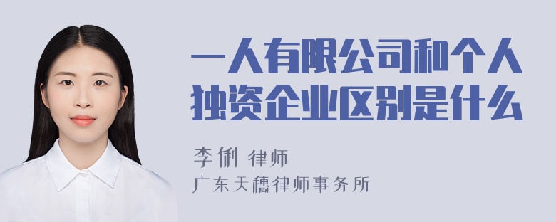 一人有限公司和个人独资企业区别是什么