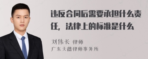 违反合同后需要承担什么责任，法律上的标准是什么