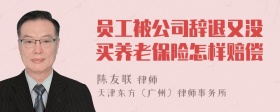 员工被公司辞退又没买养老保险怎样赔偿