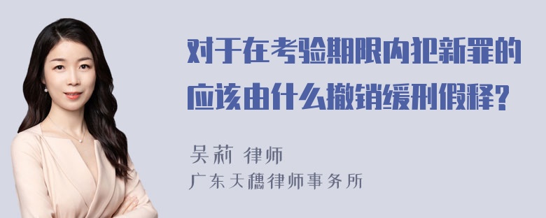 对于在考验期限内犯新罪的应该由什么撤销缓刑假释?