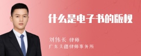 什么是电子书的版权