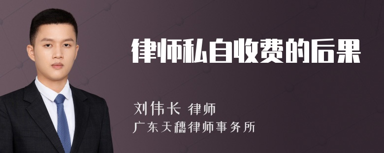 律师私自收费的后果