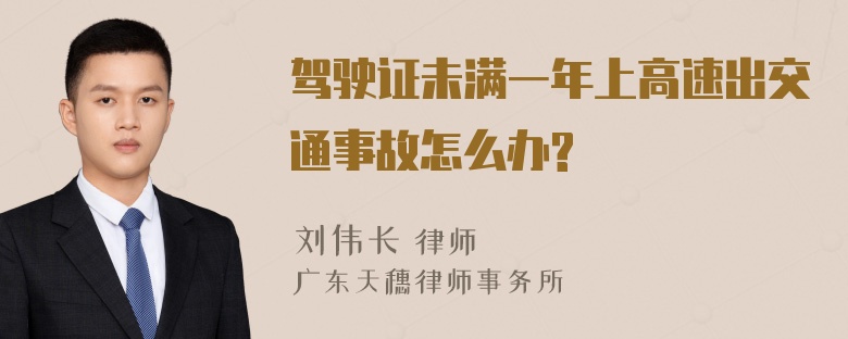 驾驶证未满一年上高速出交通事故怎么办?