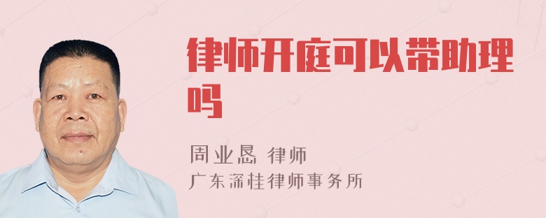 律师开庭可以带助理吗