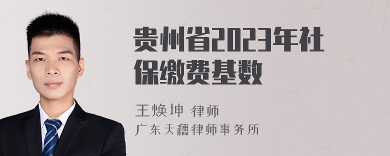贵州省2023年社保缴费基数