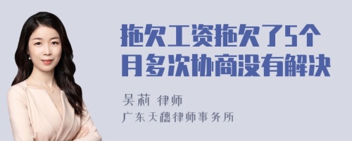 拖欠工资拖欠了5个月多次协商没有解决