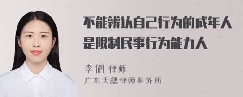 不能辨认自己行为的成年人是限制民事行为能力人