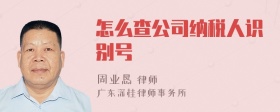 怎么查公司纳税人识别号