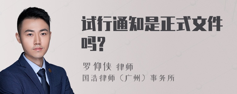 试行通知是正式文件吗?