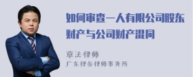 如何审查一人有限公司股东财产与公司财产混同