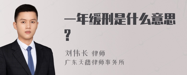 一年缓刑是什么意思?