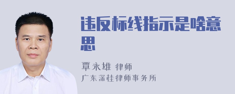 违反标线指示是啥意思