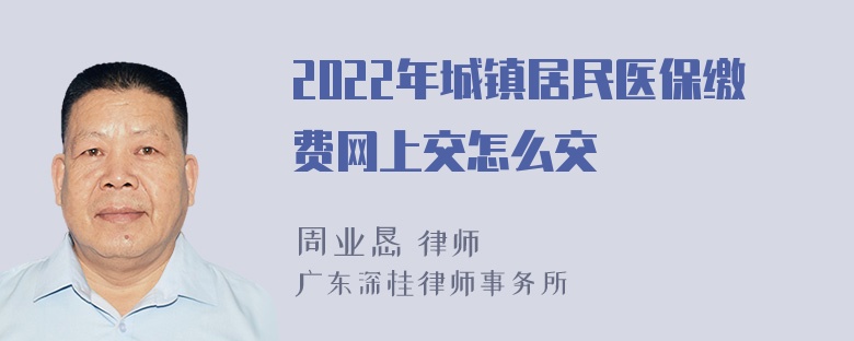 2022年城镇居民医保缴费网上交怎么交