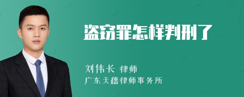 盗窃罪怎样判刑了