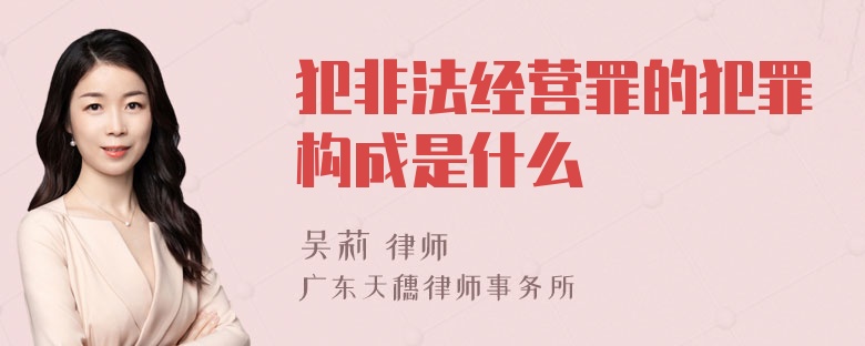 犯非法经营罪的犯罪构成是什么