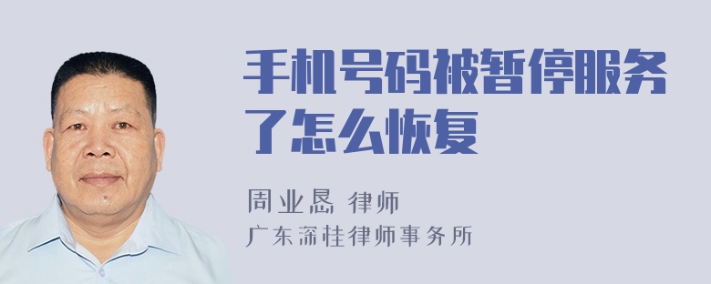 手机号码被暂停服务了怎么恢复