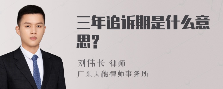 三年追诉期是什么意思?