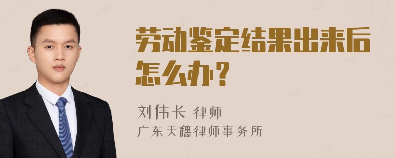 劳动鉴定结果出来后怎么办？