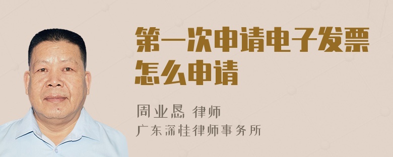 第一次申请电子发票怎么申请