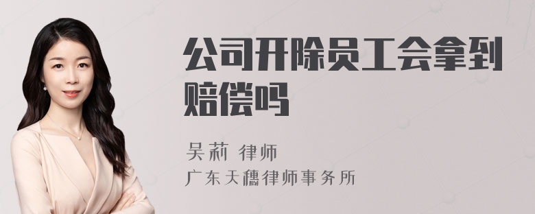 公司开除员工会拿到赔偿吗