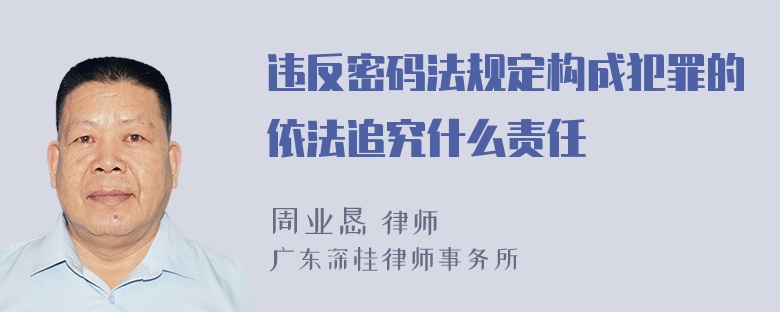 违反密码法规定构成犯罪的依法追究什么责任