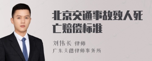 北京交通事故致人死亡赔偿标准