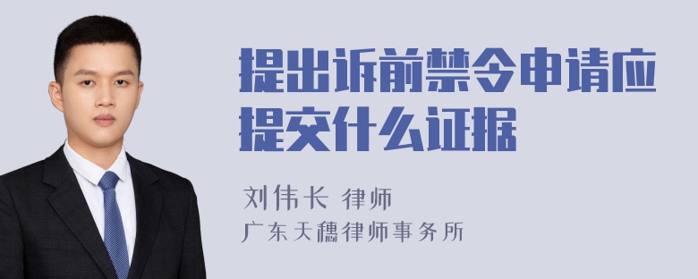 提出诉前禁令申请应提交什么证据