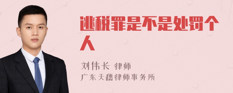 逃税罪是不是处罚个人