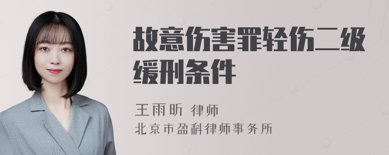 故意伤害罪轻伤二级缓刑条件