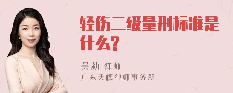 轻伤二级量刑标准是什么?