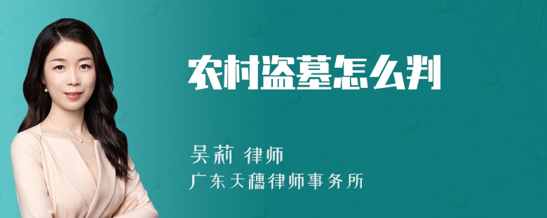 农村盗墓怎么判