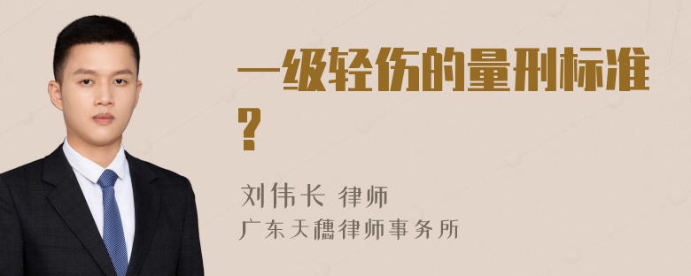 一级轻伤的量刑标准?