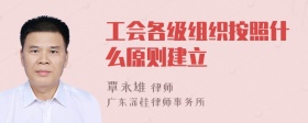 工会各级组织按照什么原则建立