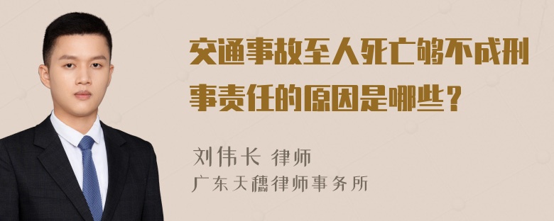 交通事故至人死亡够不成刑事责任的原因是哪些？