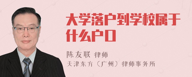 大学落户到学校属于什么户口