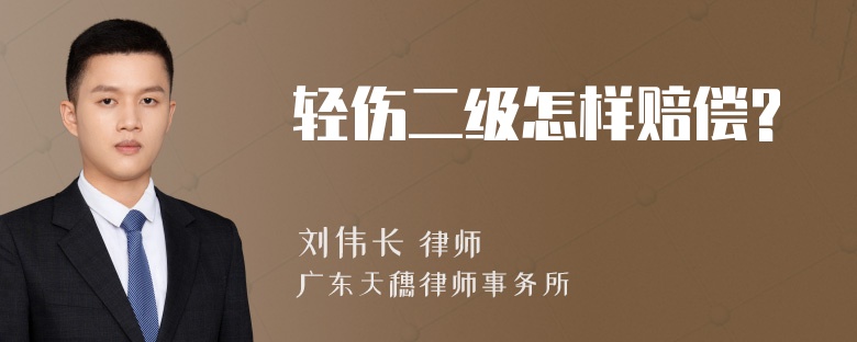 轻伤二级怎样赔偿?